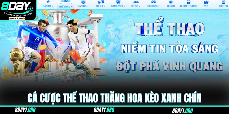 8DAY 18 Cá cược thể thao thăng hoa kèo xanh chín