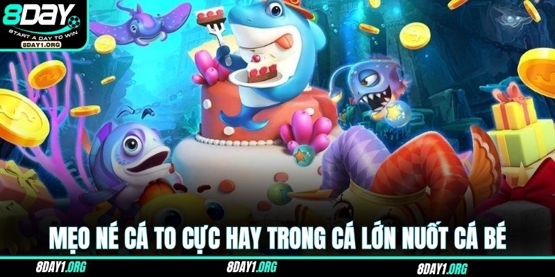 Cá Lớn Nuốt Cá Bé – Trò Chơi Săn Mồi Hút Nhất 2025 4 Mẹo né cá to cực hay trong cá lớn nuốt cá bé
